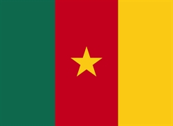 [ai] The national flag of Cameroon featuring three vertical stripes in green, red, and yellow, with a yellow star at the center of the red stripe.